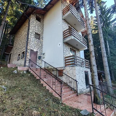 Planinski Raj ترافنيك