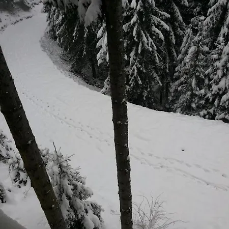 Planinski Raj بيت ضيافة ترافنيك