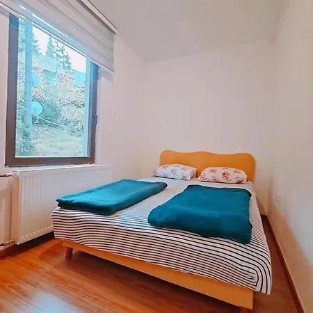 Planinski Raj 3*