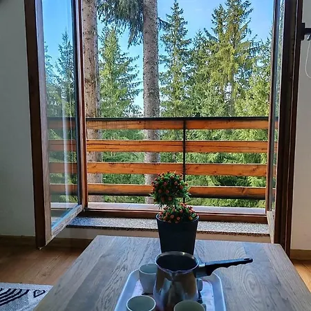 Planinski Raj بيت ضيافة ترافنيك